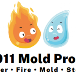 911 Mold Pros
