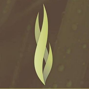 Cetana Salon - Logo