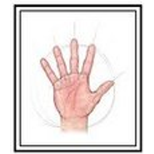 Certified Hand Therapy Services - Logo