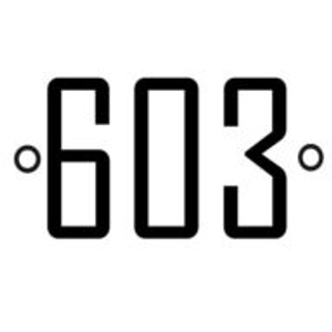 603 Chimney & Dryer Vent - Logo