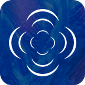 Birmingham Hair Restoration & Transplant: Dr. Core - Logo
