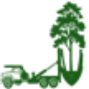 Big Trees Today - Logo