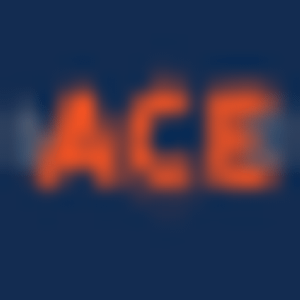 Ace Pet Resort - Logo