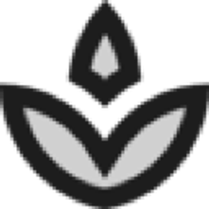 Nadiia Bliss/ Face massage/ Hydrafacial/ European facial - Logo