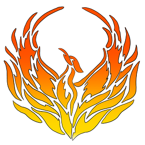 Institute of Human Combat