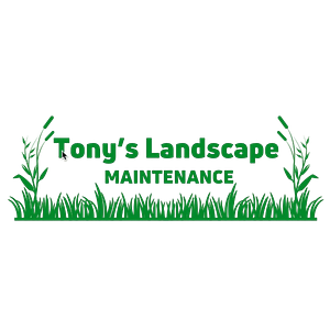 Tony's Landscape Maintenance