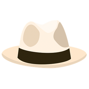 Kevin Williams The Realtor in the Fedora Spring - The Woodlands Texas