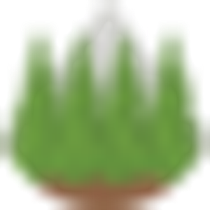 Pacific West Cedars