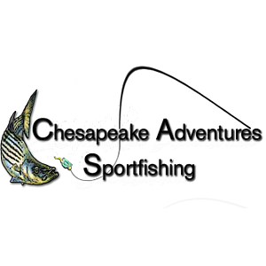 Chesapeake Adventures Sportfishing - Logo