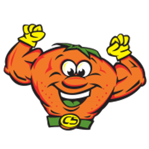 CitruSolution Carpet Cleaning of Colorado Springs