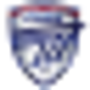 Custom Marine Sales - Logo