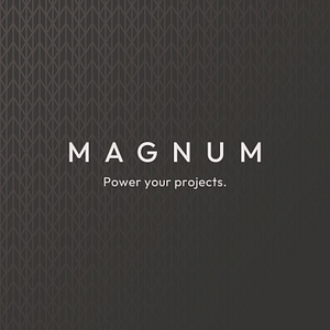 Magnum Projects Ltd. - Logo