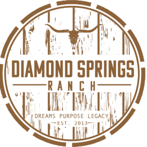 Diamond Springs Ranch - Logo