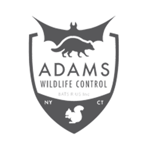 Adams Animal Bat Removal & Wildlife Control - Logo