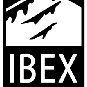 Ibex Controls - Logo