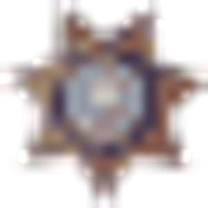 Hamilton County Sheriff Office - Logo
