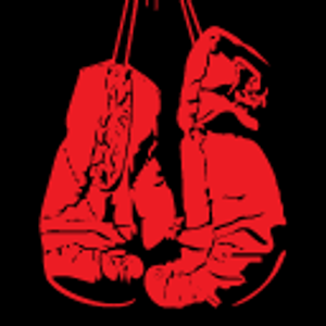 Kayo Boxing - Logo