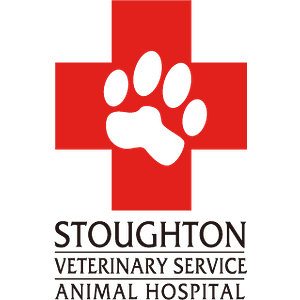 Stoughton Veterinary Service