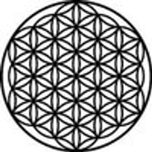 Minka Flowers - Logo
