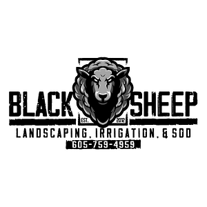 Black Sheep Landscape