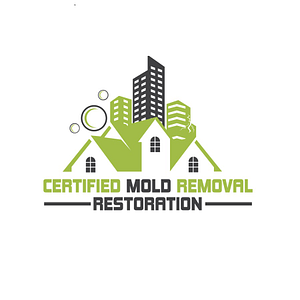 Certified Mold Removal Inspection and Testing Minneapolis MN