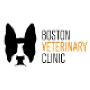 Boston Veterinary Clinic