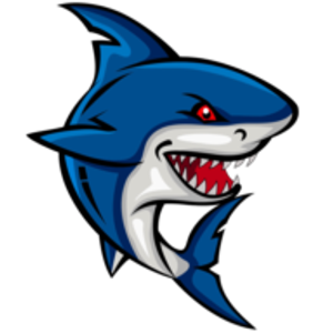 Fishing Frenzy Charters