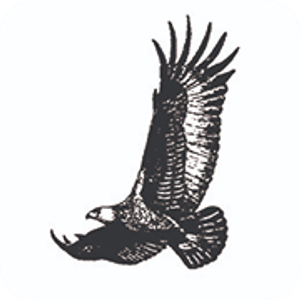 American Building & Remodeling Inc