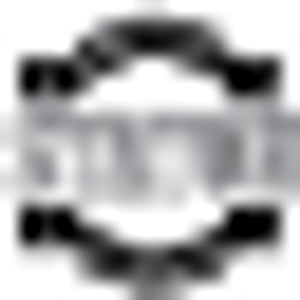 Staton Companies - Logo