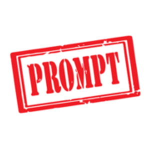 Prompt Heating & Air Conditioning LLC