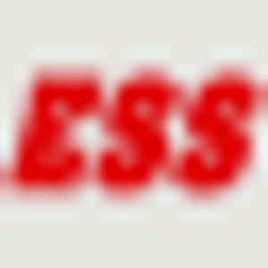 ESS Delivery Services Inc - Logo