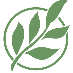 Center for New Medicine - Logo