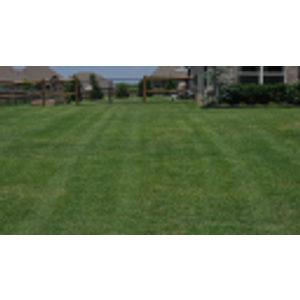 Thomas Lawn and landscape - Logo