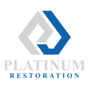Platinum Stone & Tile Restoration