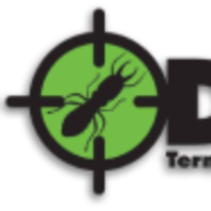 Detect Termite and Services & The BrickKicker of Hampton Roads - Logo