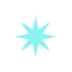 Shey Marin Photography - Logo