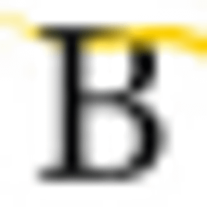 Bayshore Moving & Storage - Logo