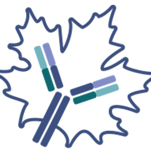 Neha Yakhmi, MD - Logo