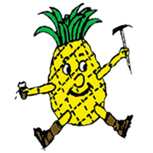 Piña Furniture
