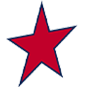 Daystar Electric - Logo