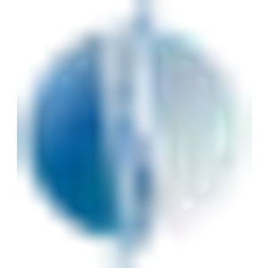 Elite Chiropractic and Wellness Centers - Logo