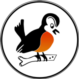 Robin Kemmerer Associates Inc