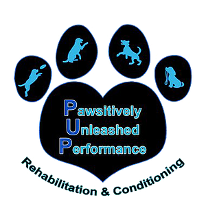 Pawsitively Unleashed Performance Rehabilitation and Conditioning