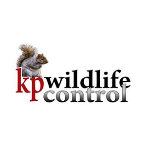 K.P. Wildlife Control and Repairs LLC - Logo