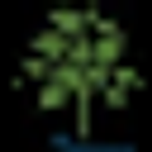 Dreamscapes Landscape & Design LLC - Logo