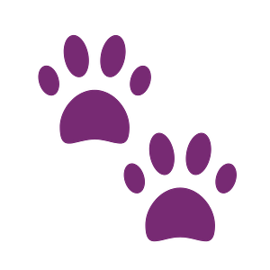 Dog Zone