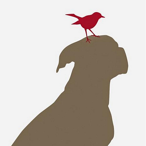 North Central Animal Hospital - Logo