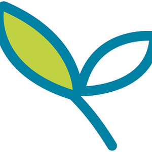 Haven Spa - Tallahassee Massage and Skincare - Logo