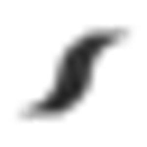 Salerno Tire Corporation - Logo