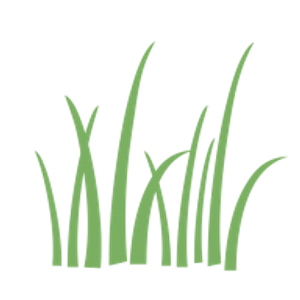 King Sod - Logo